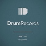 cover: Brad Hill - Labyrinthine