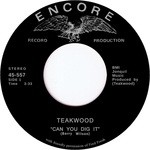 cover: Teakwood - Can You Dig It