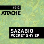 cover: Sazabio - Pocket Shy