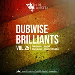 cover: Dan Guidance - Dubwise Brilliants Vol 25