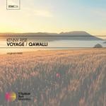 cover: Kenny Rise - Voyage/Qawalli