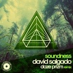 cover: David Salgado - Soundness