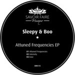 cover: Sleepy & Boo - Attuned Frequencies EP