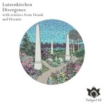 cover: Lutzenkirchen - Divergence