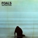 cover: Foals - Albatross (Lake Turner Remix)