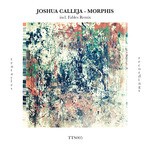 cover: Joshua Calleja - Morphis