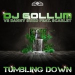 cover: Danny Suko|Dj Gollum|Scarlet - Tumbling Down