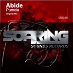 cover: Abide - Pumola