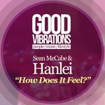 cover: Sean Mccabe & Hanlei - How Does It Feel?