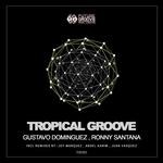 cover: Gustavo Dominguez|Ronny Santana - Tropical Groove