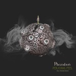 cover: Plusculaar - Personal Feel