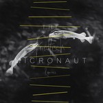 cover: The Micronaut - Friedfisch Remixes