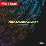 cover: Miss T|Chris Domingo - Broke Genius