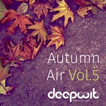 cover: A M I R|Blaq Sons|Deep Souls|Hotmode|Lego Boy - Autumn Air Vol 5