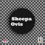 cover: Sheepa - Ovis