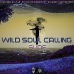 cover: Slide - Wild Soul Calling