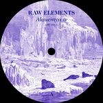 cover: Raw Elements - Alquemya