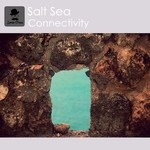 cover: Salt Sea - Connectivity