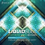 cover: Liquid Soul - Synthetic Vibes Remixes