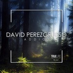 cover: David Perezgrueso - Addict