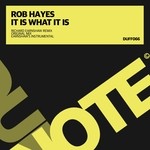 cover: Rob Hayes - It Is What It Is