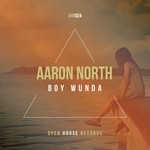 cover: Aaron North - Boy Wunda