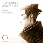 cover: Tim Penner - Gabriel's Flight