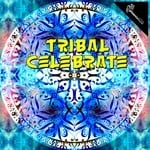 cover: Various - Tribal Celebrate