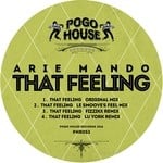 cover: Arie Mando - That Feeling