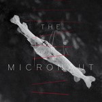 cover: The Micronaut - Friedfisch