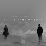 cover: Bebe Rexha|Martin Garrix - In The Name Of Love Remixes