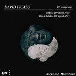 cover: David Picazo - EP Ursprung