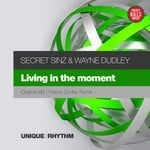 cover: Secret Sinz & Wayne Dudley - Living In The Moment