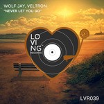 cover: Wolf Jay|Veltron - Never Let You Go