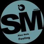 cover: Alex Nels - Feeling