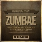 cover: Bongotrack - Zumbae