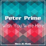 cover: Peter Prime - Wish You Were Here