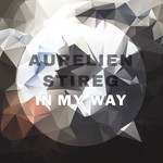 cover: Aurelien Stireg - In My Way