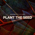 cover: P Keys|Sacha Robotti - Plant The Seed