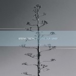 cover: Stefan Tretau - Dividing Our Grief