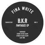 cover: Bkr - Fantasize EP