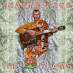 cover: Shannon & The Clams - Sleep Talk