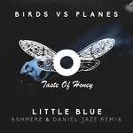 cover: Birds|Planes - Little Blue