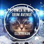 cover: Owen Ni & Grim Avenue - Elektrikon