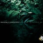 cover: Invisible Landscape - Murder 1