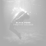 cover: Black Pond - Deepest Chasms