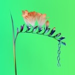 cover: Flume - Skin Companion EP I