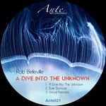 cover: Rob Belleville - A Dive Into The Unknown