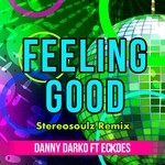 cover: Danny Darko|Eckoes - Feeling Good