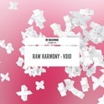 cover: Raw Harmony - Void